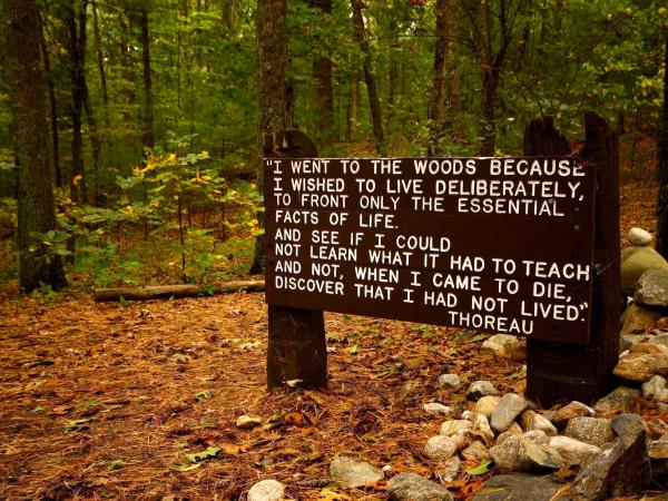 Creative Jump-in: On Being Thoreau with Tim Price at Sun Valley Museum of Ar