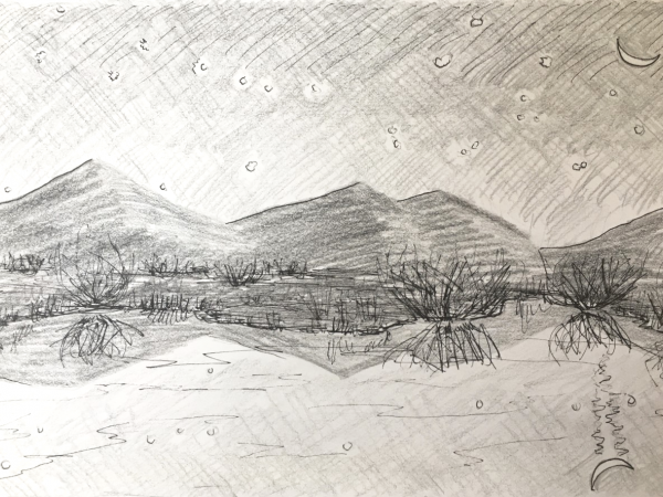 Doodle & Drink with Sun Valley Museum of Art