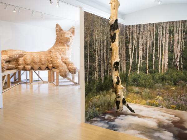 Untrammeled: At Wilderness' Edge at Sun Valley Museum of Art